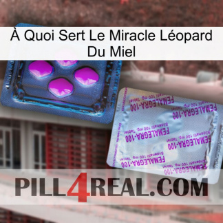 À Quoi Sert Le Miracle Léopard Du Miel 37